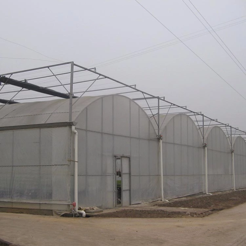 Large Plactic Greenhouse For Vegetable Flowers