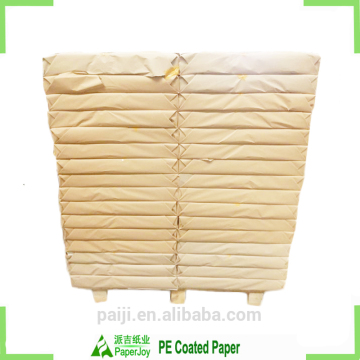 Top Quality Disposable Paper Cup Paper Sheet