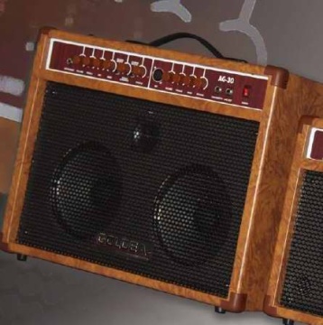 Acoustic Guitar Amplifiers (AG30)