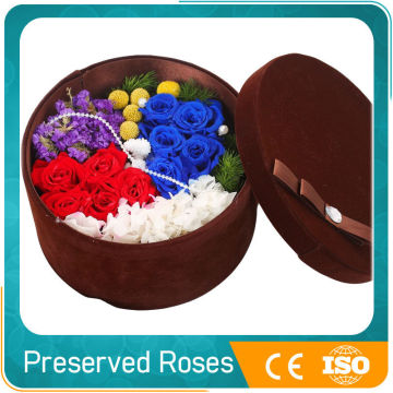 wholesale natural decorative preserved roses