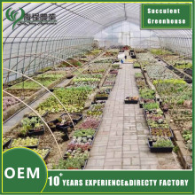 Succulent Greenhouse with Advanced Climate Control