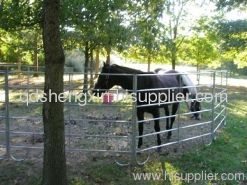 Horse Corral Cate(factory)?