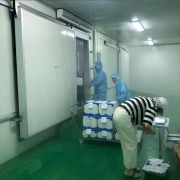 Hot Selling Cold Room/Cold Storage