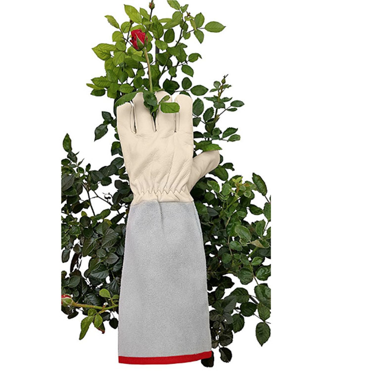 FLOWER Gardens  Cleaning Gloves