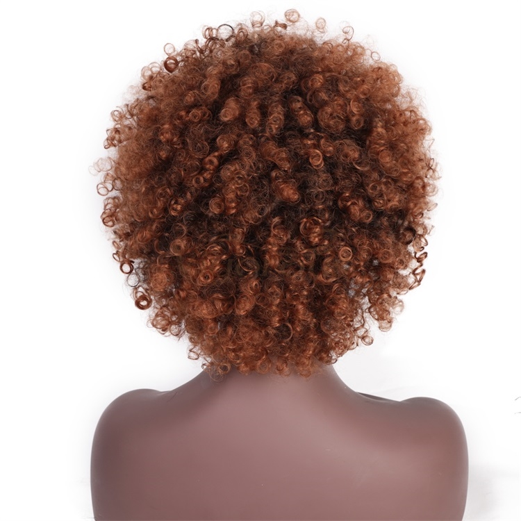 Vigorous Synthetic Afro Kinky Curly Wigs Short Brown Hair Wig Fluffy High Temperature Heat Resistant Fiber Wig for Black Women