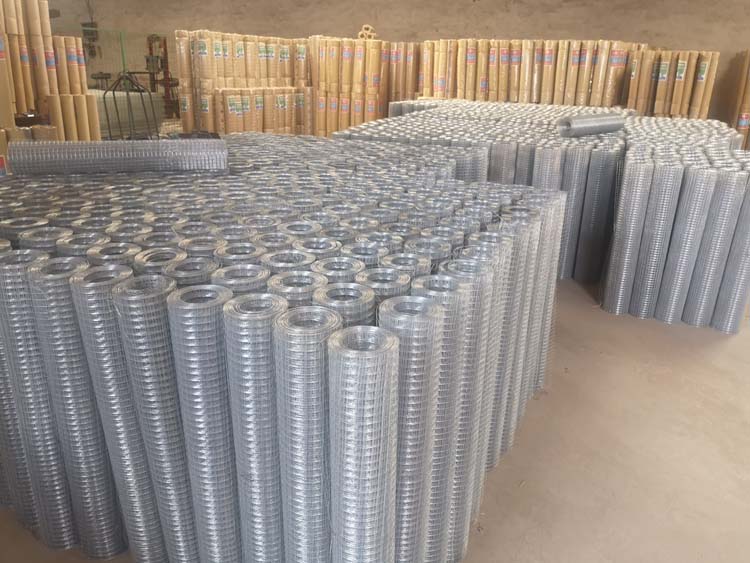 High tensile strength hot-dipped galvanized steel wire 1/2'' welded mesh roll for zoo mesh