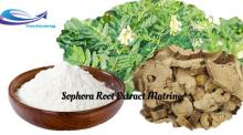 Wholesale Bulk Natural Sophora Root Extract Matrine