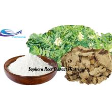 Wholesale Bulk Natural Sophora Root Extract Matrine