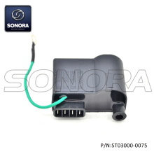 AM6 Ducati 45KMH CDI (P/N:ST03000-0075) Top Quality