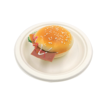 Disposable Tableware Biodegradable Sugarcane Pulp Plates