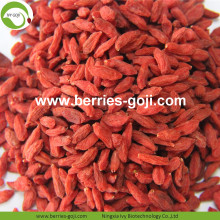 Factory Supply Super Food Dried Red Goji Berry