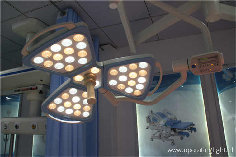 Single dome flower OT lamp