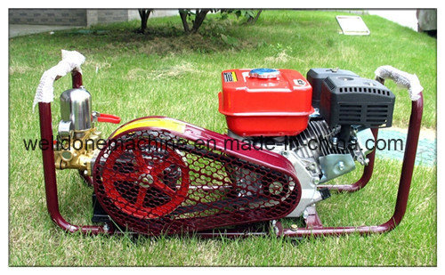 Portable Gasoline Power Sprayer for Agricutural Irrigation