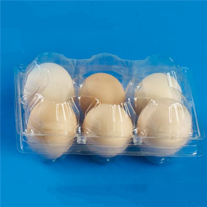 6 Cells Plastic Eggs Tray