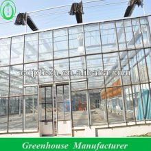 greenhouses for tomatoes