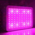 Red &amp; Blue 300w Led Grow Light Para Comercial Crescer