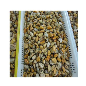 fozen mussel meat fish detail fozen mussel meat without shell fish detail fresh mussel detail