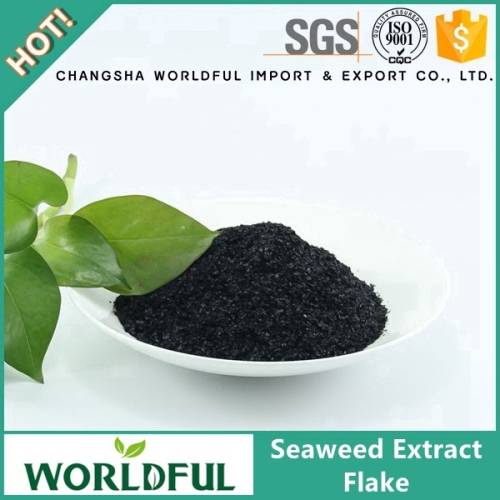 High Quality Factory Supply Seaweed Extract Flake Seaweed Extract