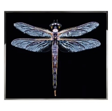 High End Luxury Golden Dragonfly Diamond Paintings for Home Decoration