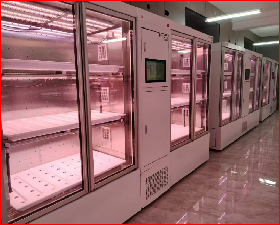 خزانة أبحاث الثقافة البيولوجية YD18GBP-B01-AK