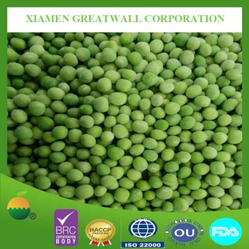 Frozen fresh green peas wth Hebei origin