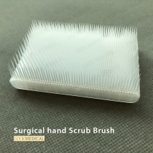 Single Use Hand Scrub Brush With Handle