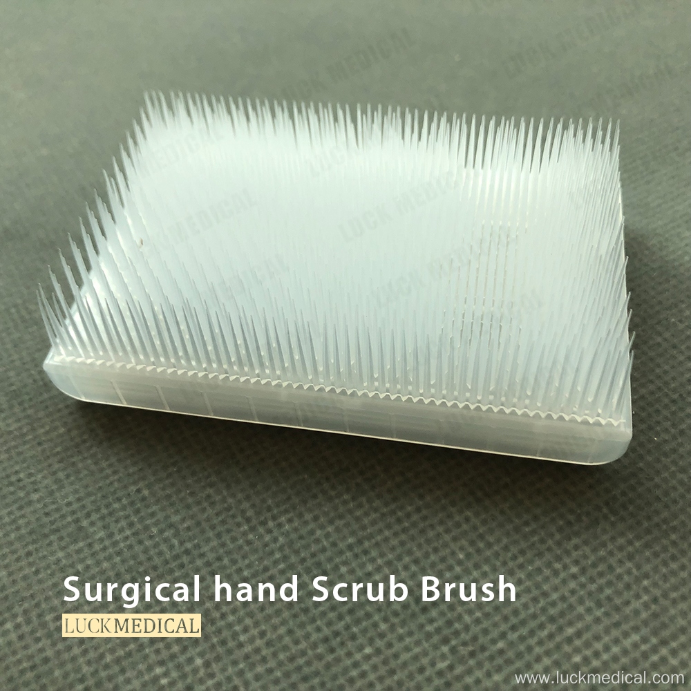 Single Use Hand Scrub Brush With Handle