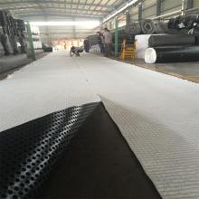 Any Grade Composite Dimpled Drainage Board for Garden