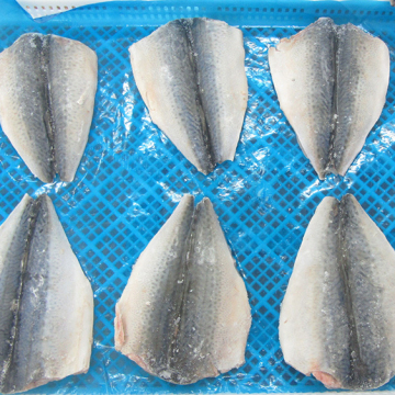 Frozen Pacific Mackerel Flap Butterfly