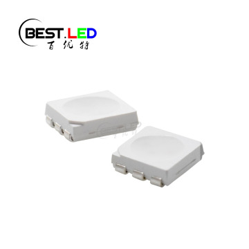 RYB LEDER 5050 SMD 3 Tsitsi 0 Tsitsani mandala