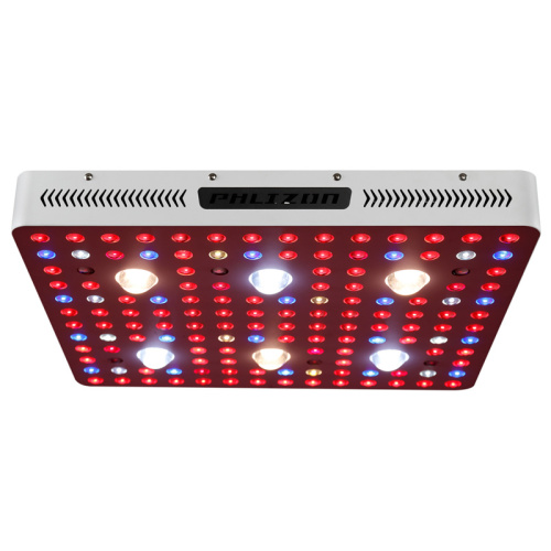 LED 3000W LED cresce para jardim interno