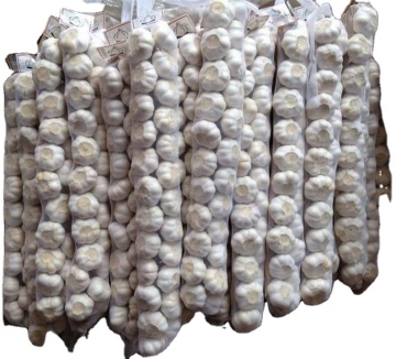 High Quality Fresh Normal White Galic Purple Garlic Red Garlic