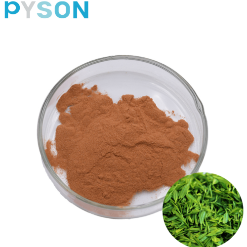 Green Tea Extract Tea Polyphenols 95% UV