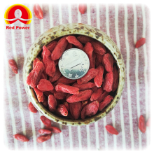 HALAL Red Lycium Benefits