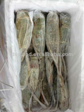 Frozen Green Lobster