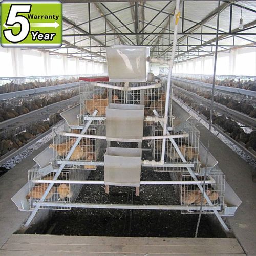 Buy wholesale direct from China chicken poultry layer cage chicken poultry