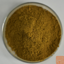 Olive Leaf Extract Oleuropein 20%
