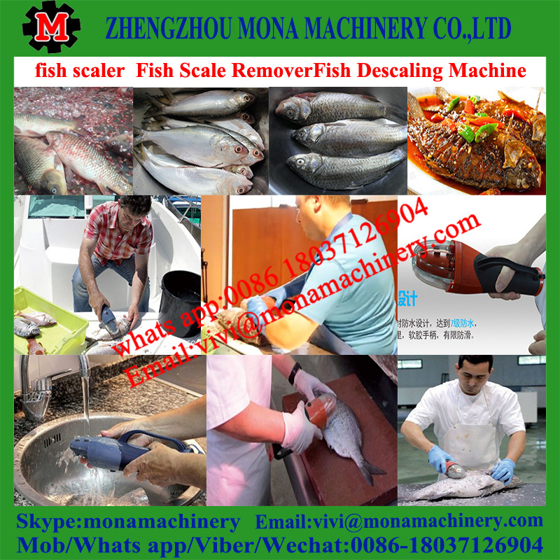 fish scale peeling machine/fish scale peeler