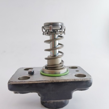 CP1 Pump Plunger F01M101781 - Engine Fuel Injection Pump Plunger for Diesel Engines