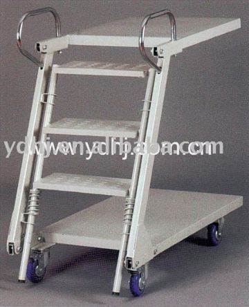 Ladder Trolley In Warehouse