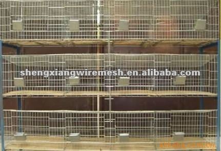 Hot sale rabbit cage