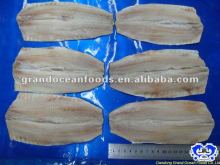 dried fresh herring fillet seafood