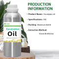 O óleo essencial de eucalipto natural 100% puro para massagem