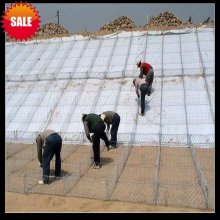 Galvanized Gabion slope protection net