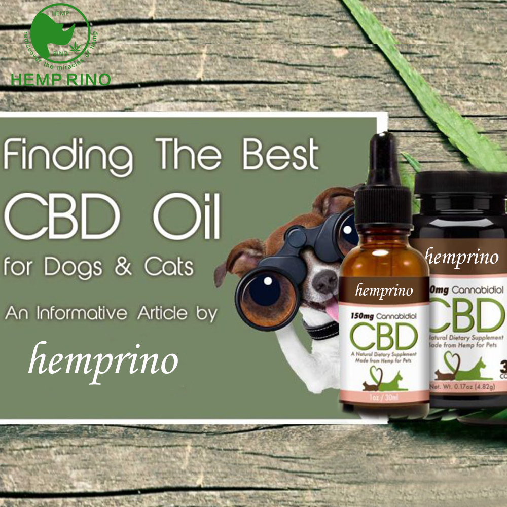 Hemp CBD oil tincture for pets with vitamins pain relief private label