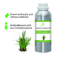 Aceite esencial de calamus 100% puro y natural Aceite esencial de bluk de alta calidad para compradores globales El mejor precio