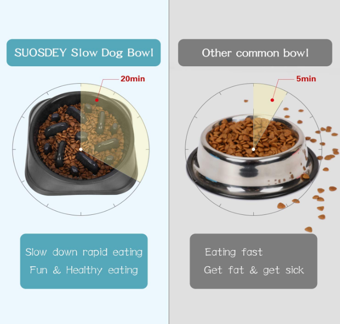 Anti-choke Dog Feed Bowl