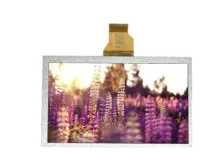 8 Inch 1024X600 LCD Screen CCTV Monitor