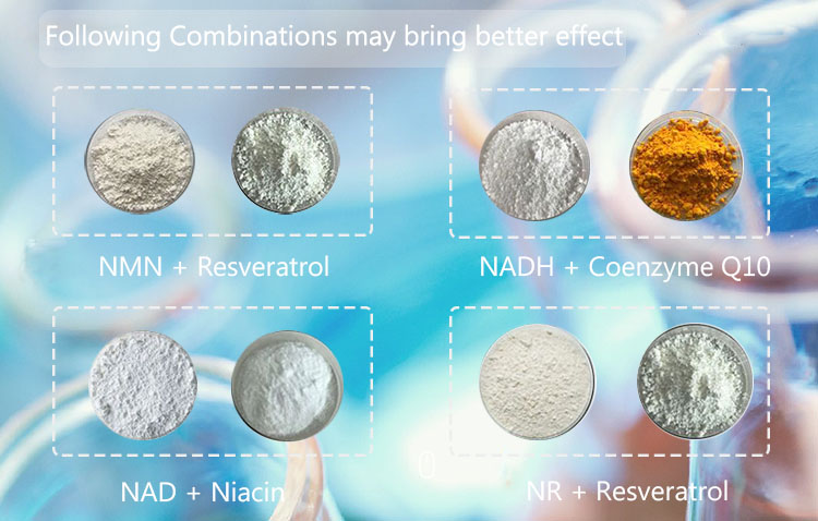 Full Coenzymes Series NAD NR NADH NMN Power 99% NMN Food Grade