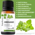 Produk Esensial Whosale Minyak Oregano Murni